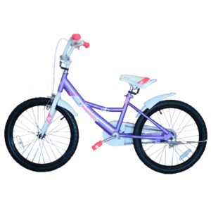 BICIKL SIXTEAM 20" AUTUMN